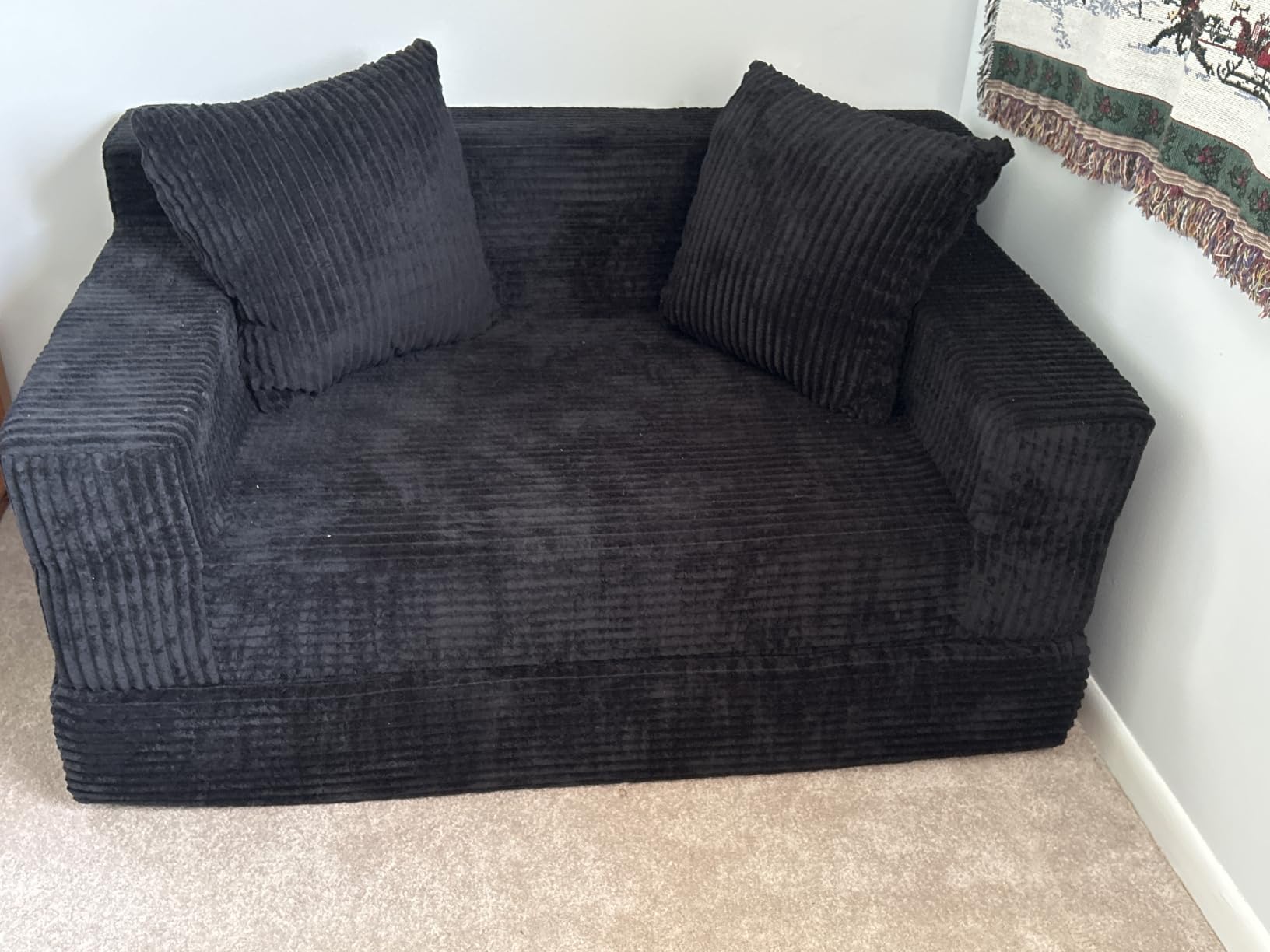 Erament Loveseat Boneless Convertible Sofa Bed, Folding Floor Futon Sleeper Sofa Couch Bed - Boneless Foldable Couch, Corduroy Pull Out Sofa Bed with 2 Pillows for Living Room & Bedroom customer photo 1