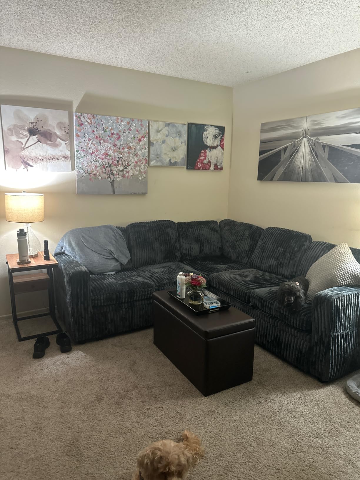 HONBAY Corduroy L Shaped Sectional Sleeper Sofa with Pull Out Bed,Green customer photo 1