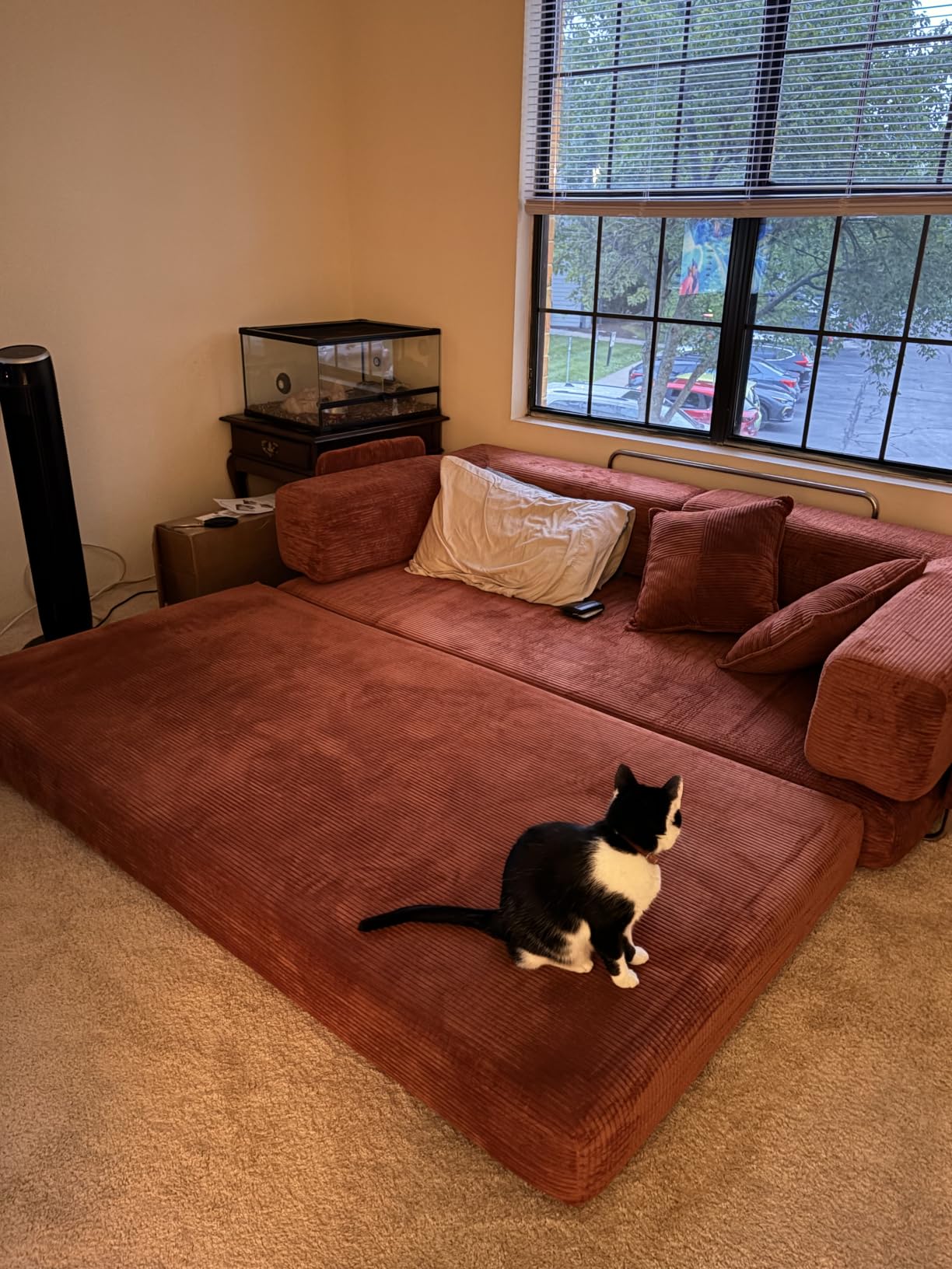 MoonSpeak 78.8'' Futon Sofa Bed, Boneless Couches for Living Room customer photo 2