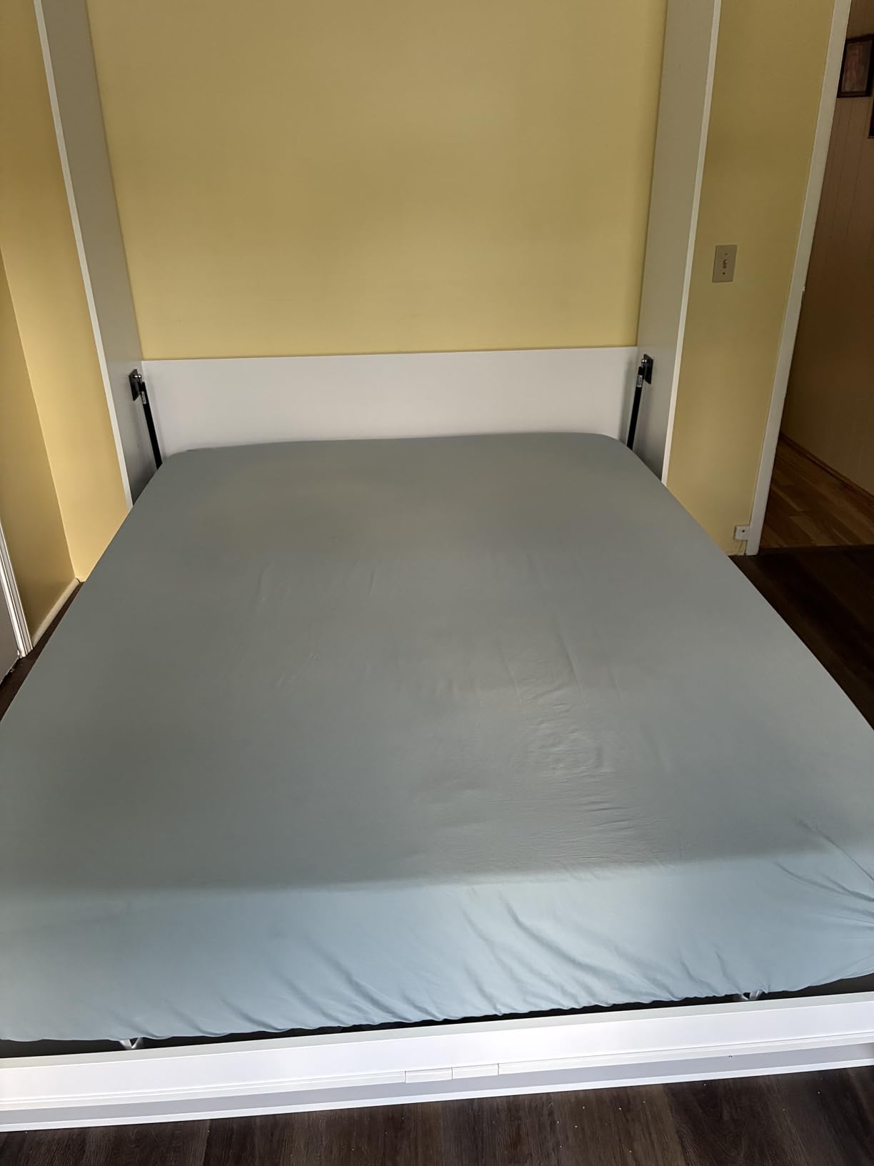 ROOMTEC Queen Murphy Bed with Smooth Pneumatic Lift, Space-Saving Wall Bed customer photo 1