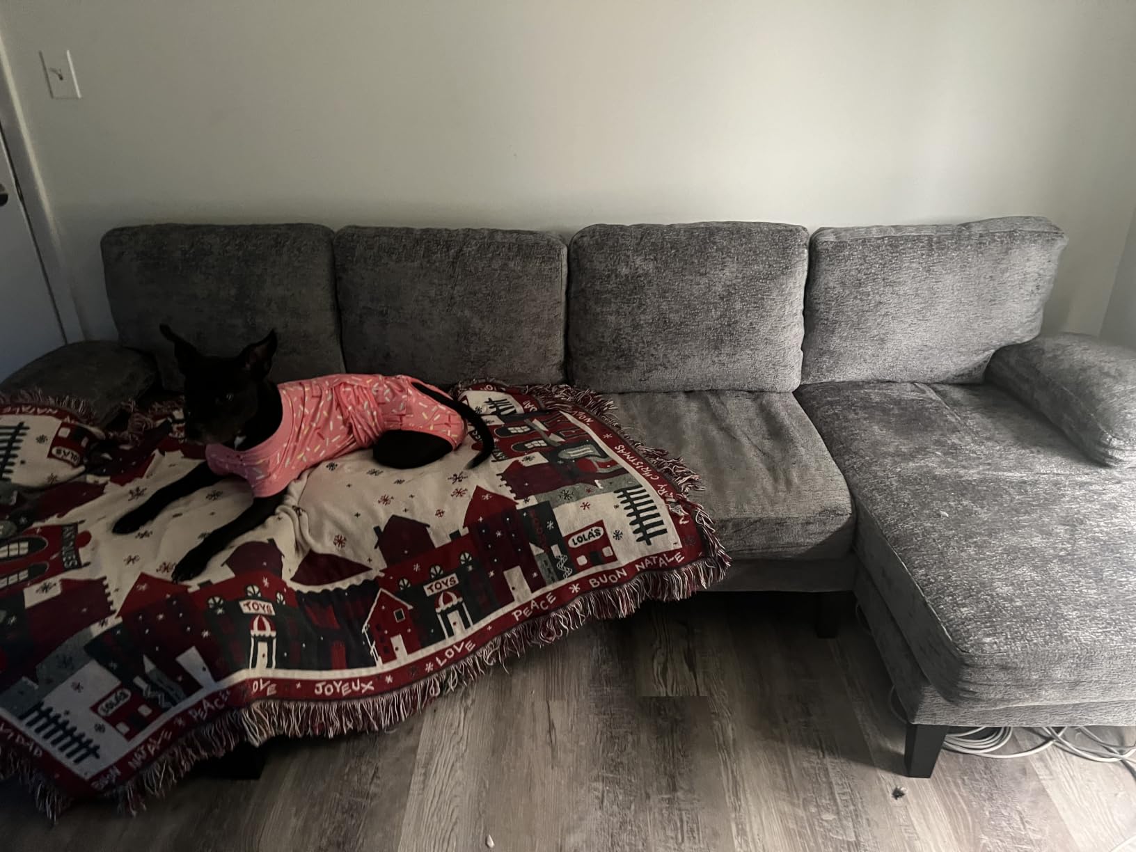 U-Shaped Sectional Couches for Living Room | 112 Inch Modern Sectional Couch | Warm White Chenille Sofa customer photo 2
