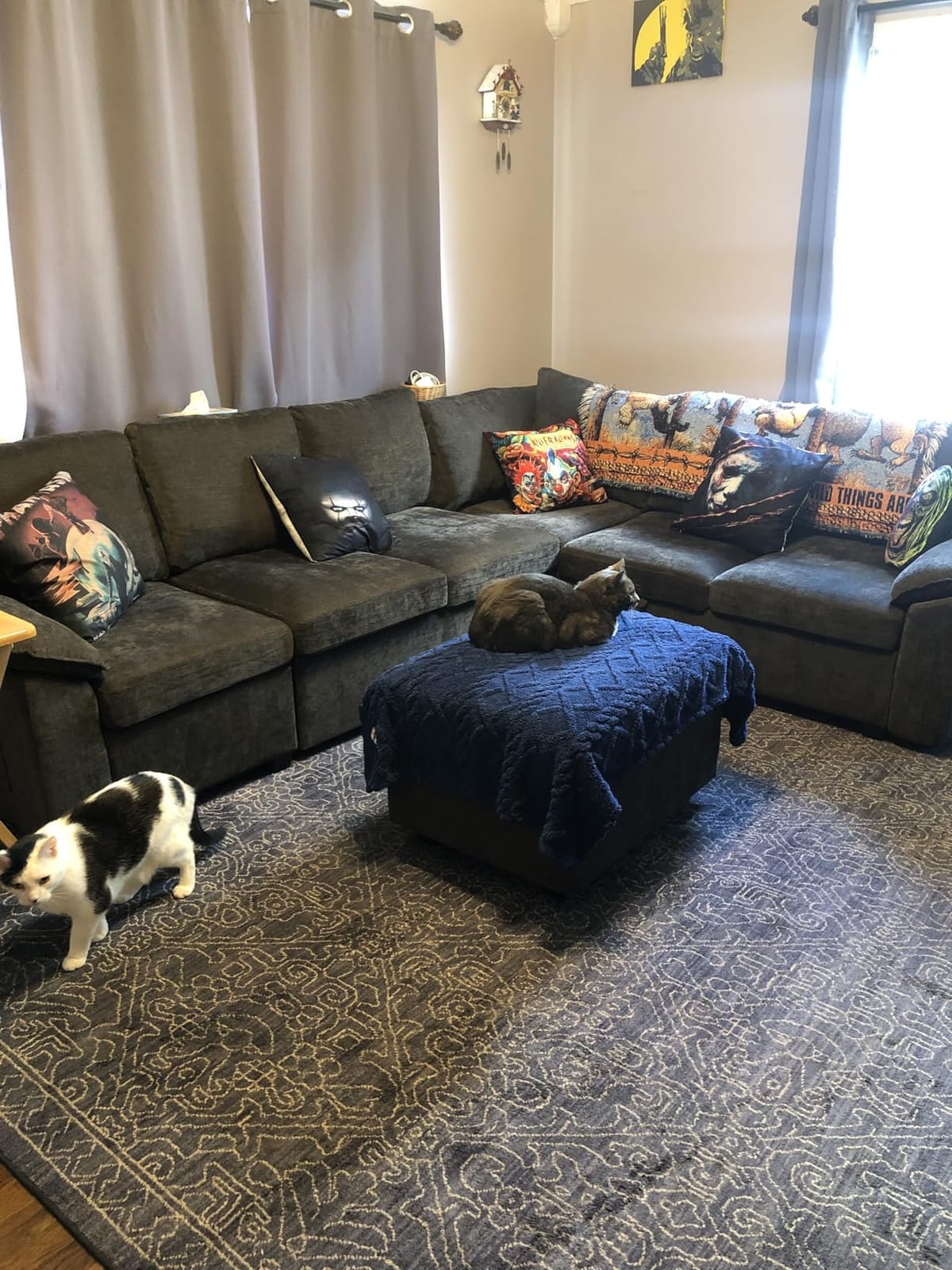85 Inch Modular Sectional Sofa with Pull Out Bed,L Shaped 5 Seat Sectional Sleeper Sofa with Storage,Sectional Couches for Living Room,Cloud Modular Couch,Removable Sofa Cover, Dark Gray customer photo 2