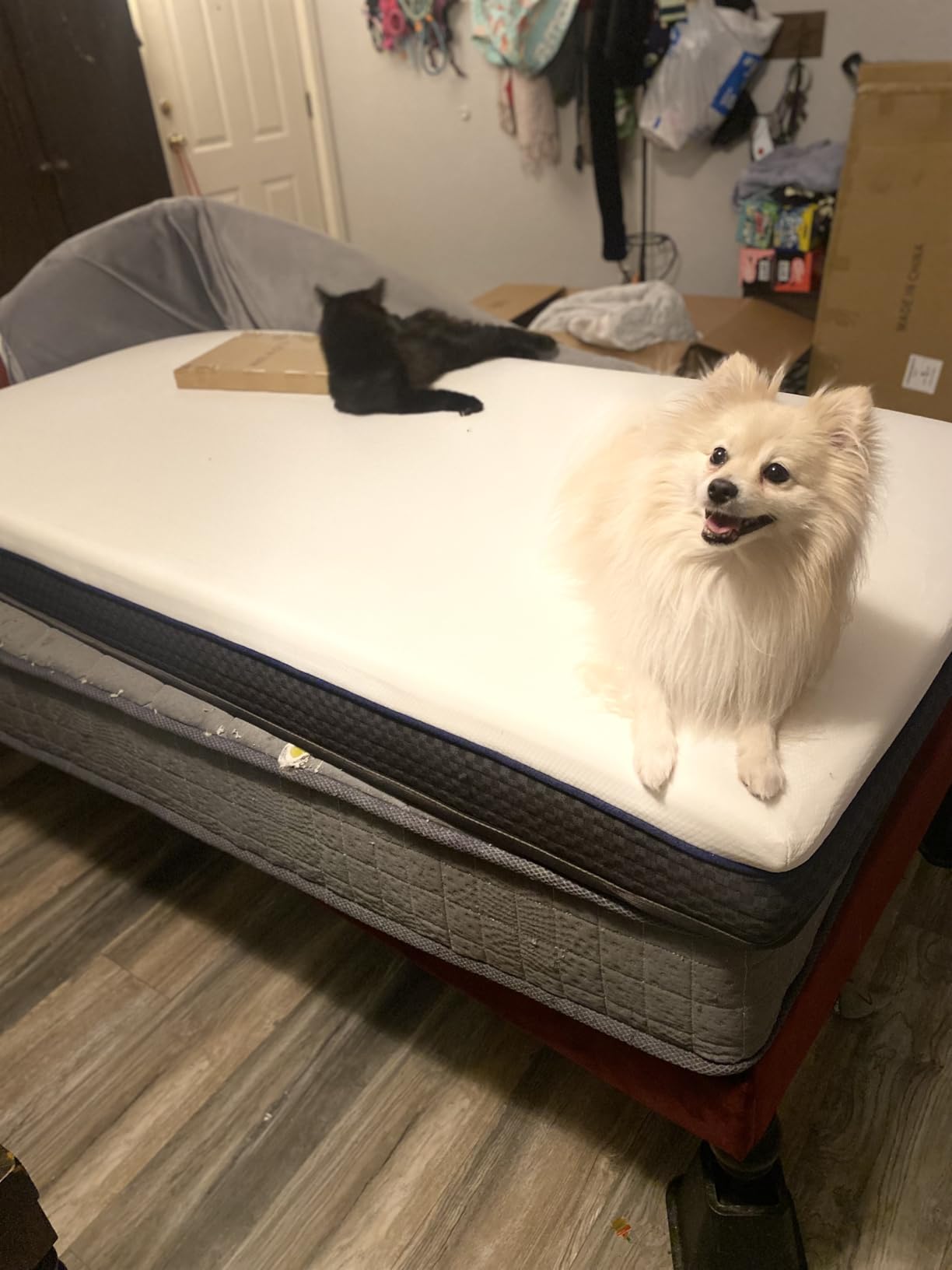 Firm Queen Mattress - 14 Inch Memory Foam Mattress Queen with Orthopedic Lumbar Support - Motion Isolation & Cool Sleep, CertiPUR-US Certified, Assembled in USA customer photo 2