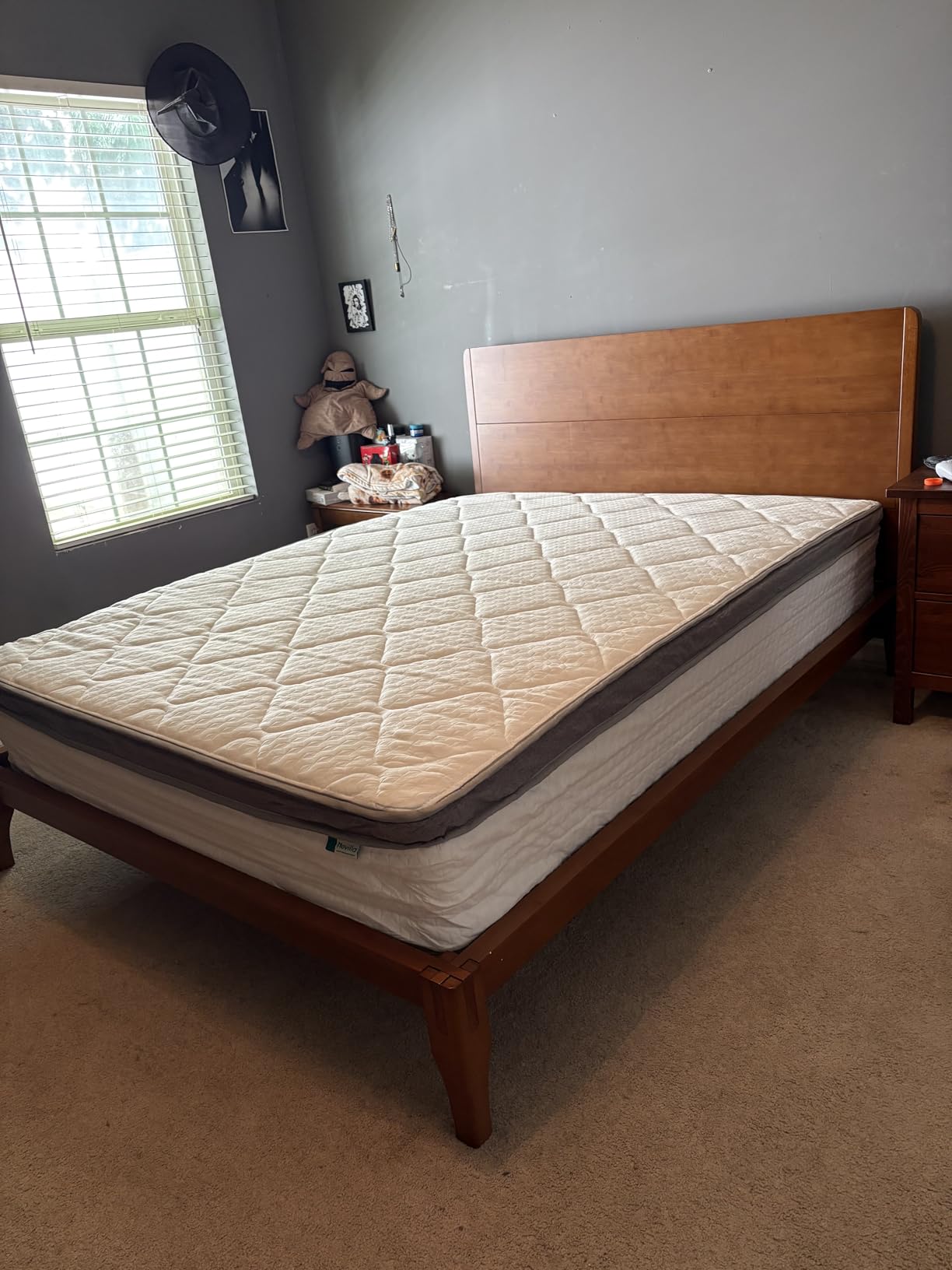 Novill 8 Inch Foam and Spring Hybrid Mattress, Twin Mattress in a Box | Medium Support, CertiPUR-US Certified Foam & Steel Coils, Durable Design, Guest and Youth Bedroom, Eco-Friendly Packaging customer photo 1