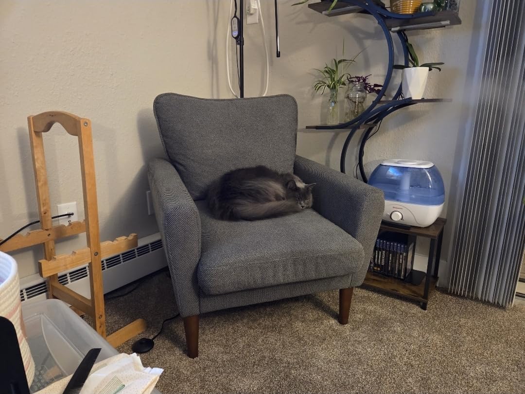 OLIXIS Comfy Accent Chair for Living Room Bedroom and Waiting Room customer photo 1