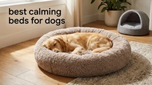 best calming beds for dogs