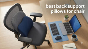 best back support pillows for chair