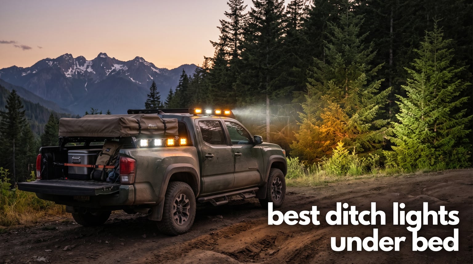 best ditch lights under bed