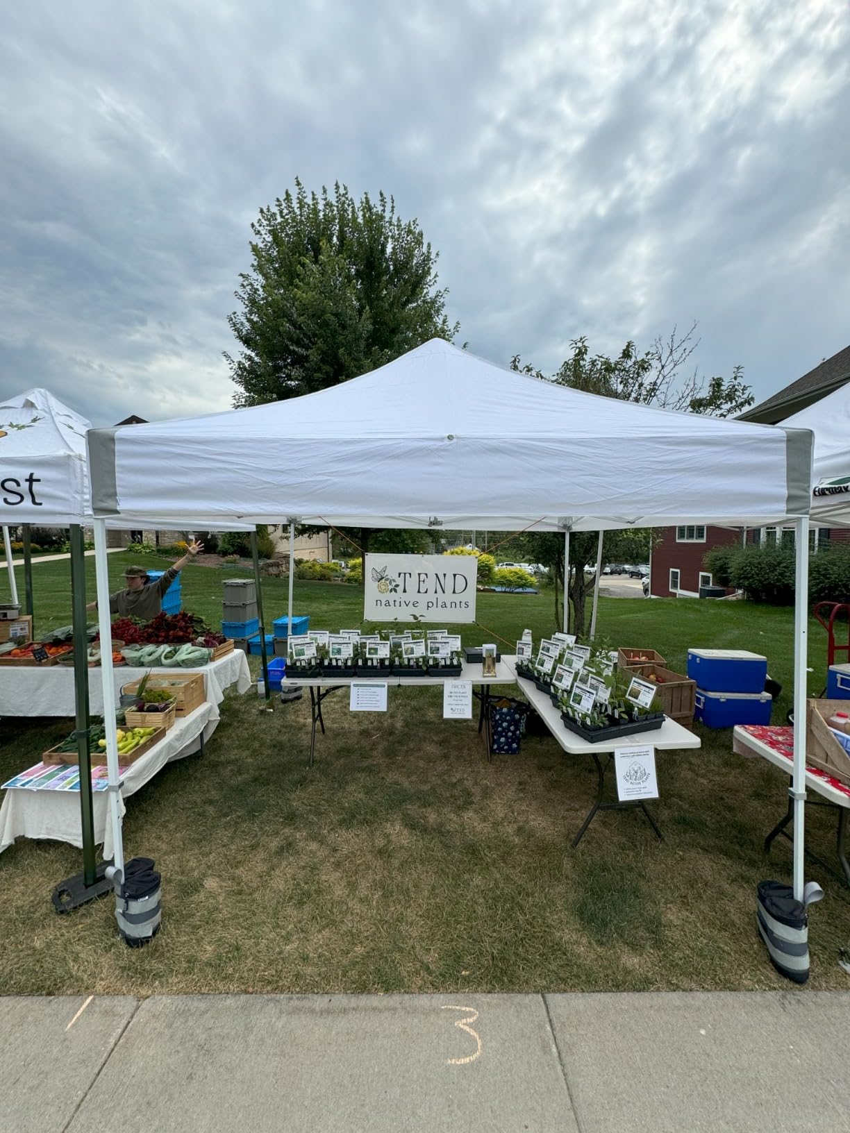 E-Z UP ES100S Instant Commercial Pop Up Canopy Tent, 10' x 10' with 3 Sidewalls, 1 Mid-Zip Sidewall and Wide-Trax Roller Bag, White customer photo 1