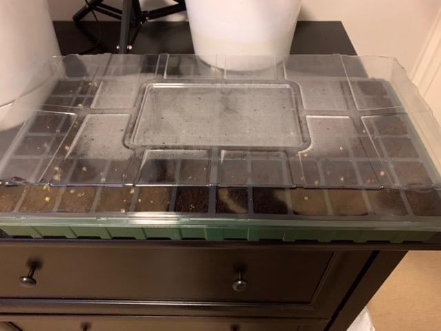 Burpee 72 Cell Seed Starting Kit with Greenhouse Dome and Coir Pellets customer photo 2