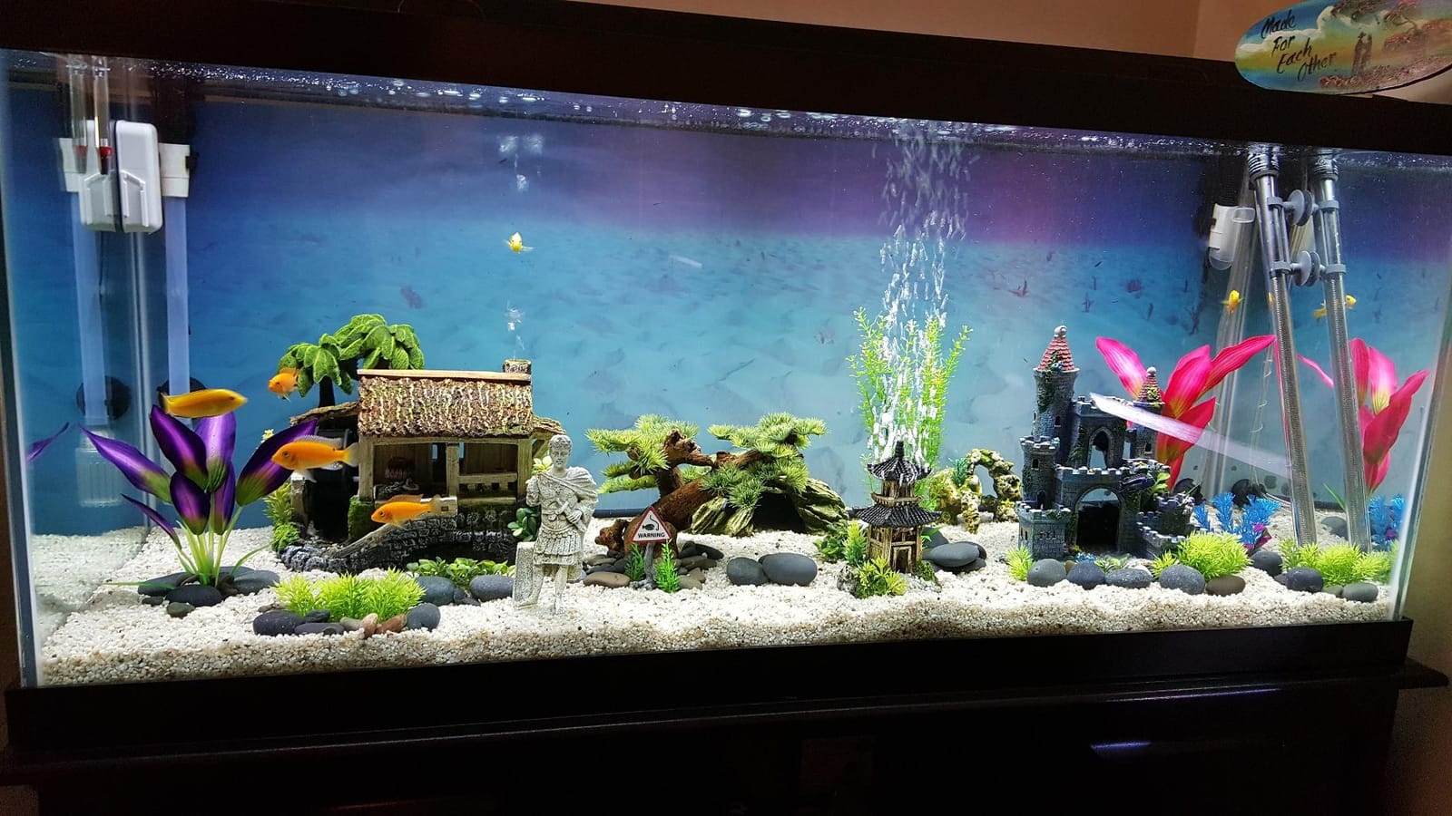 Danner Manufacturing, Inc., Supreme Oxy-Flo AP- 4, Low Volume Air Pump for Aquariums, 06404 customer photo 1