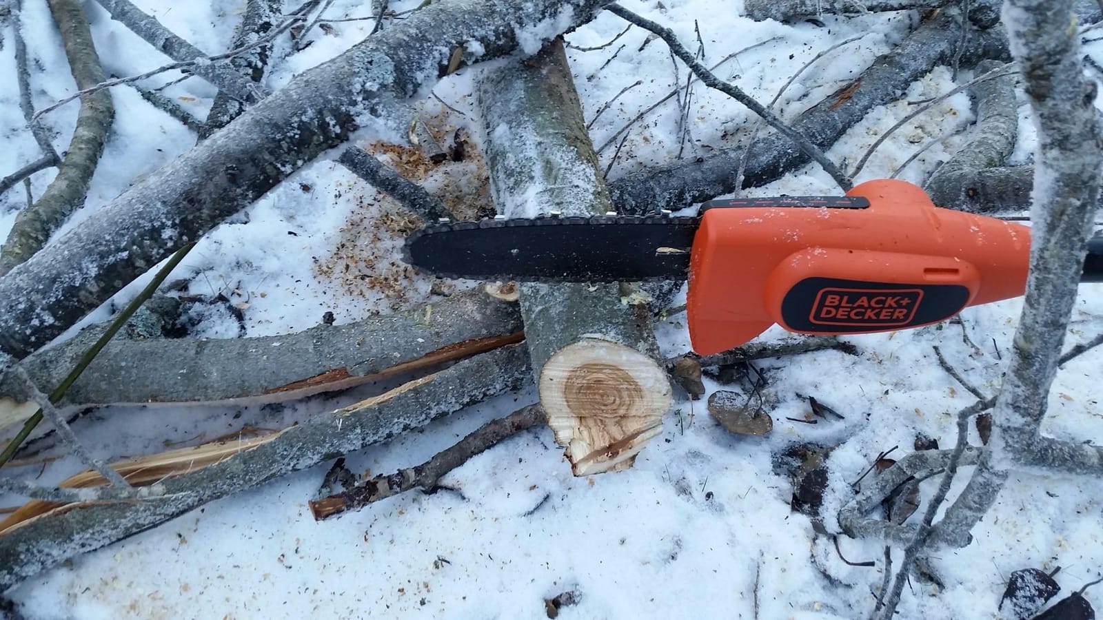 BLACK+DECKER 20V Max Pole Saw for Tree Trimming, Lightweight, Rechargeable Cordless, Extension up to 14 ft Reach, Tool Only, Electric Pole Saw (LPP120B) customer photo 2