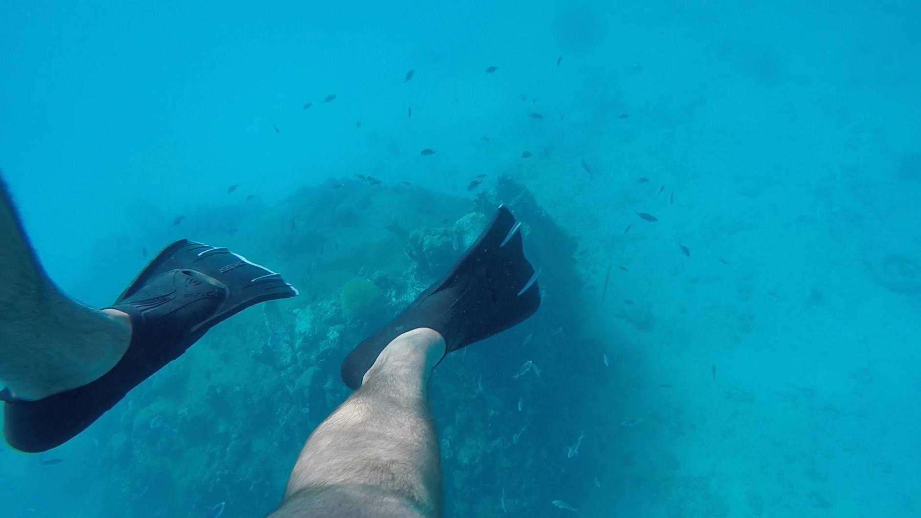 Cressi Adult Short Light Swim Fins with Self-Adjustable Comfortable Full Foot Pocket - Perfect for Traveling - Agua Short: Made in Italy customer photo 2