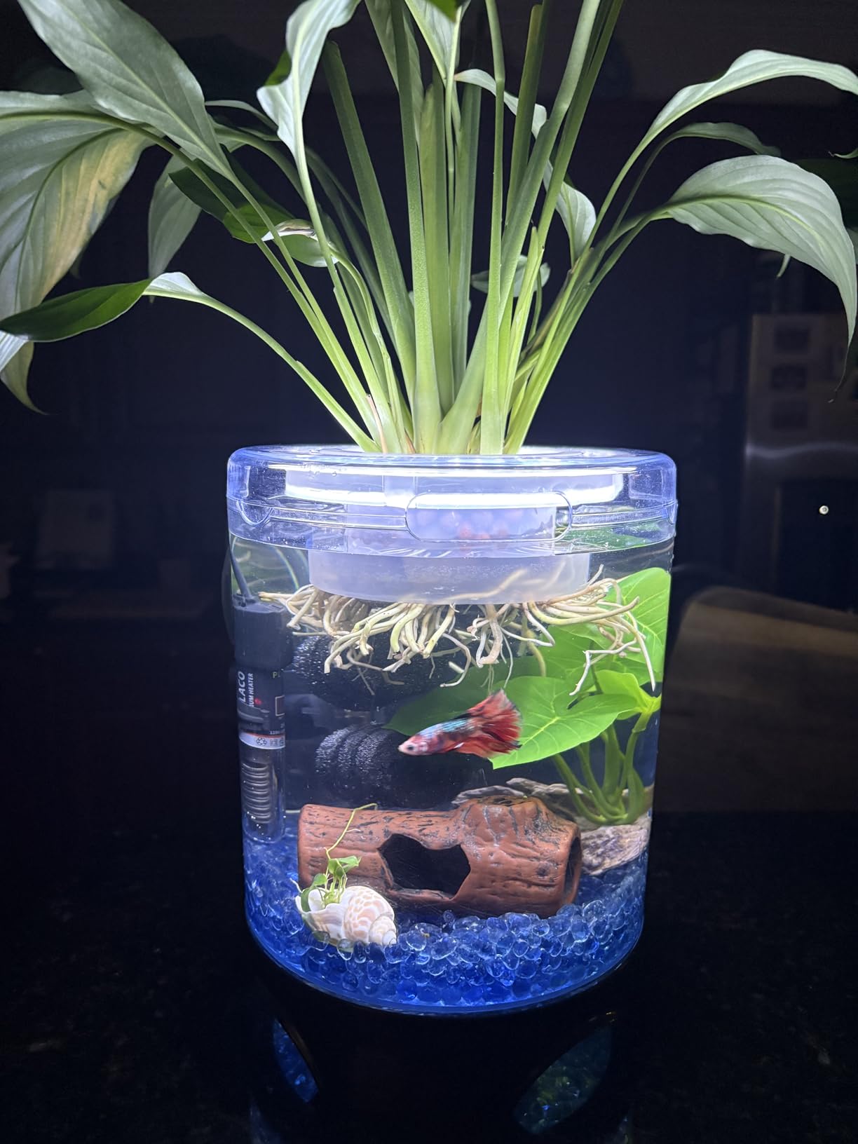 Penn-Plax Aquaponic Planter and Aquarium for Betta Fish | Tank Promotes Healthy Hydroponic Environment for Plants and Fish customer photo 1