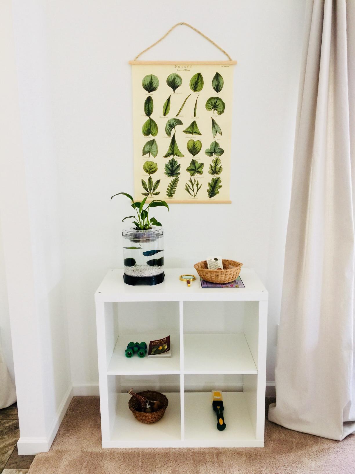 Penn-Plax Aquaponic Planter and Aquarium for Betta Fish | Tank Promotes Healthy Hydroponic Environment for Plants and Fish customer photo 2
