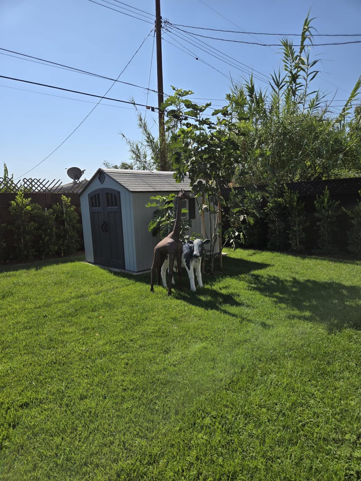 Lifetime 8 x 10 Ft Outdoor Storage Shed, Dual-Wall HDPE Construction, Steel-Reinforced, Skylight and Window, Lockable Doors, UV-Protected Gray Finish customer photo 1