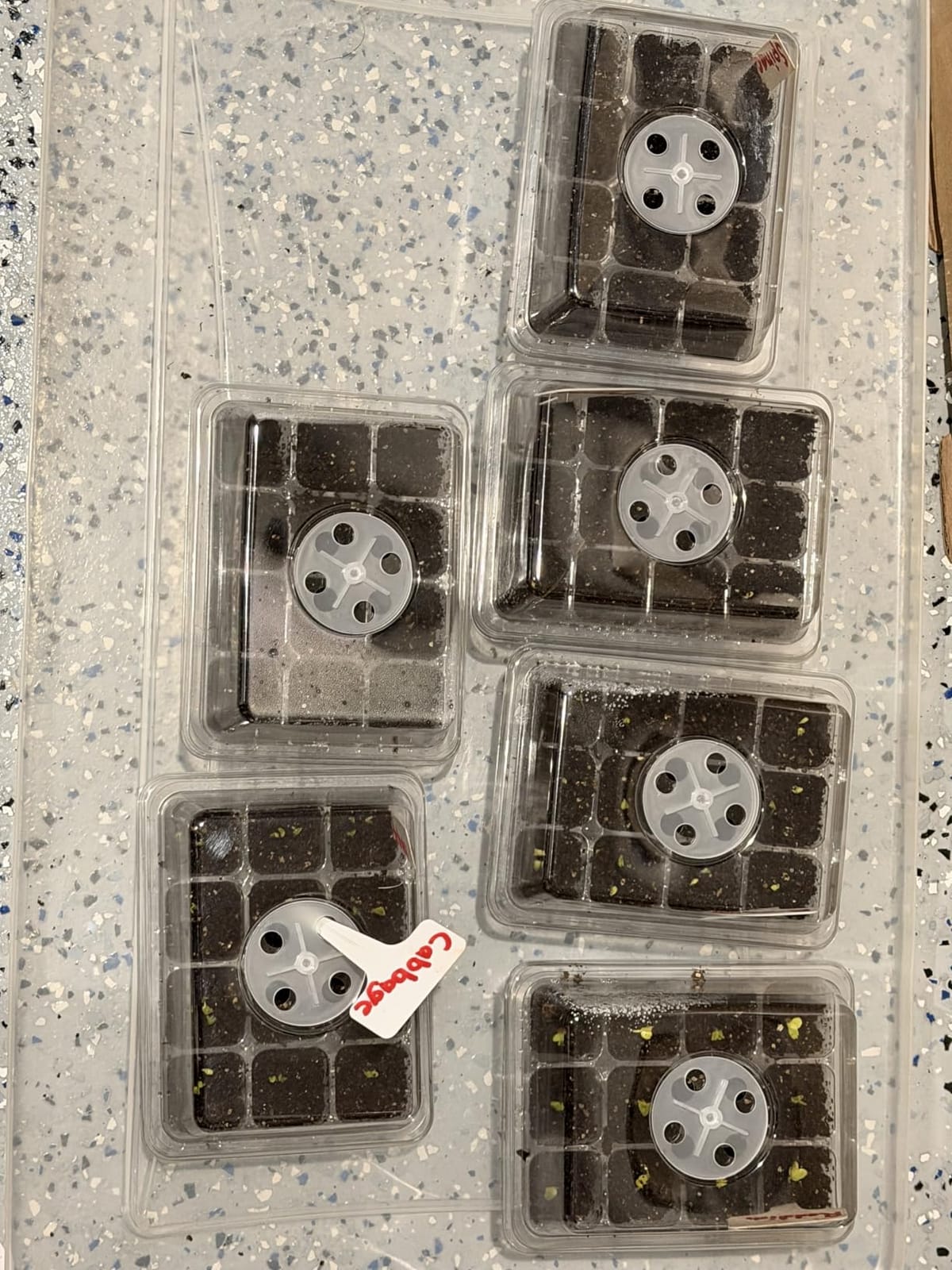 MIXC 10 Pack Seed Starter Tray, 120Cell Stater Kit with Humidity Dome Green customer photo 2