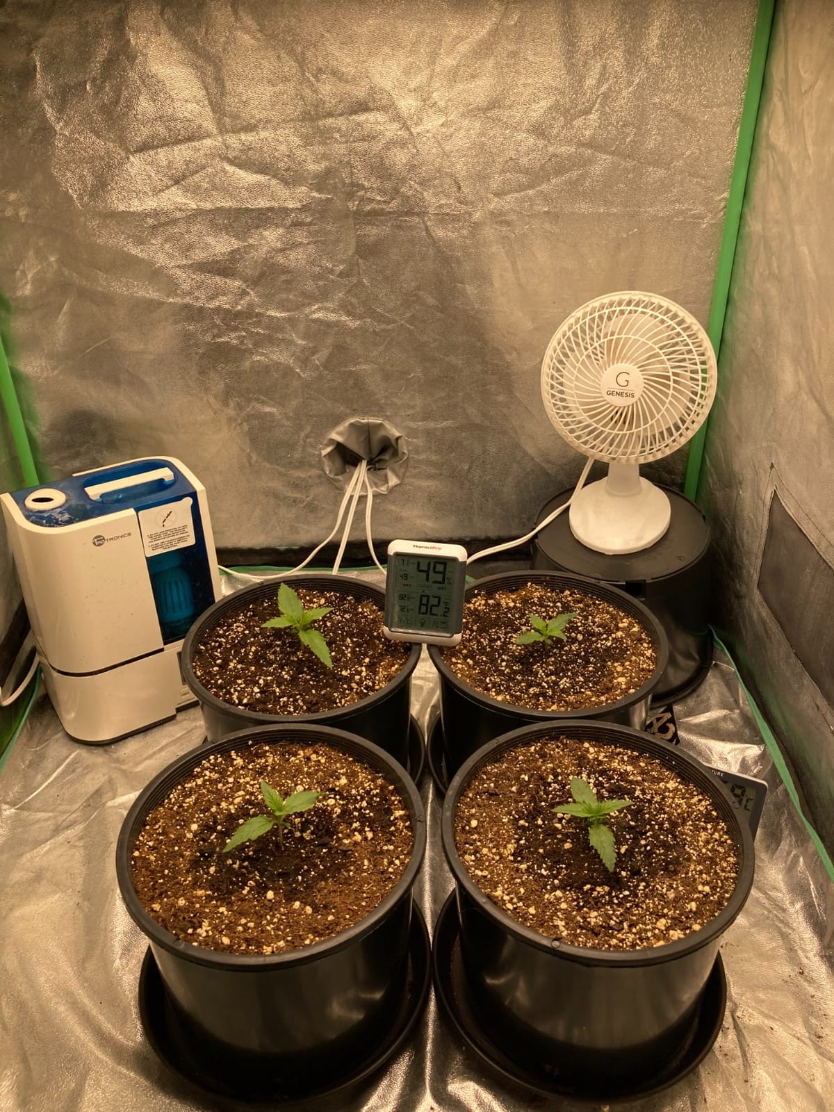 MARS HYDRO 300W TSL2000 Led Grow Lights for Indoor Plants customer photo 1