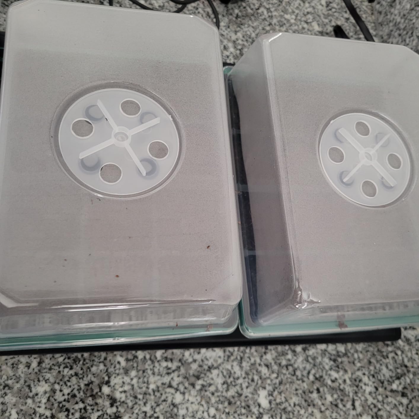 Gardzen 5-Set Seed Starter Tray Kits, Durable Plant Germination Trays with Humidity Vented Domes and Bases, Ideal for Seed Starting, Indoor Gardening, and Greenhouse (Total 200 Cells) customer photo 2