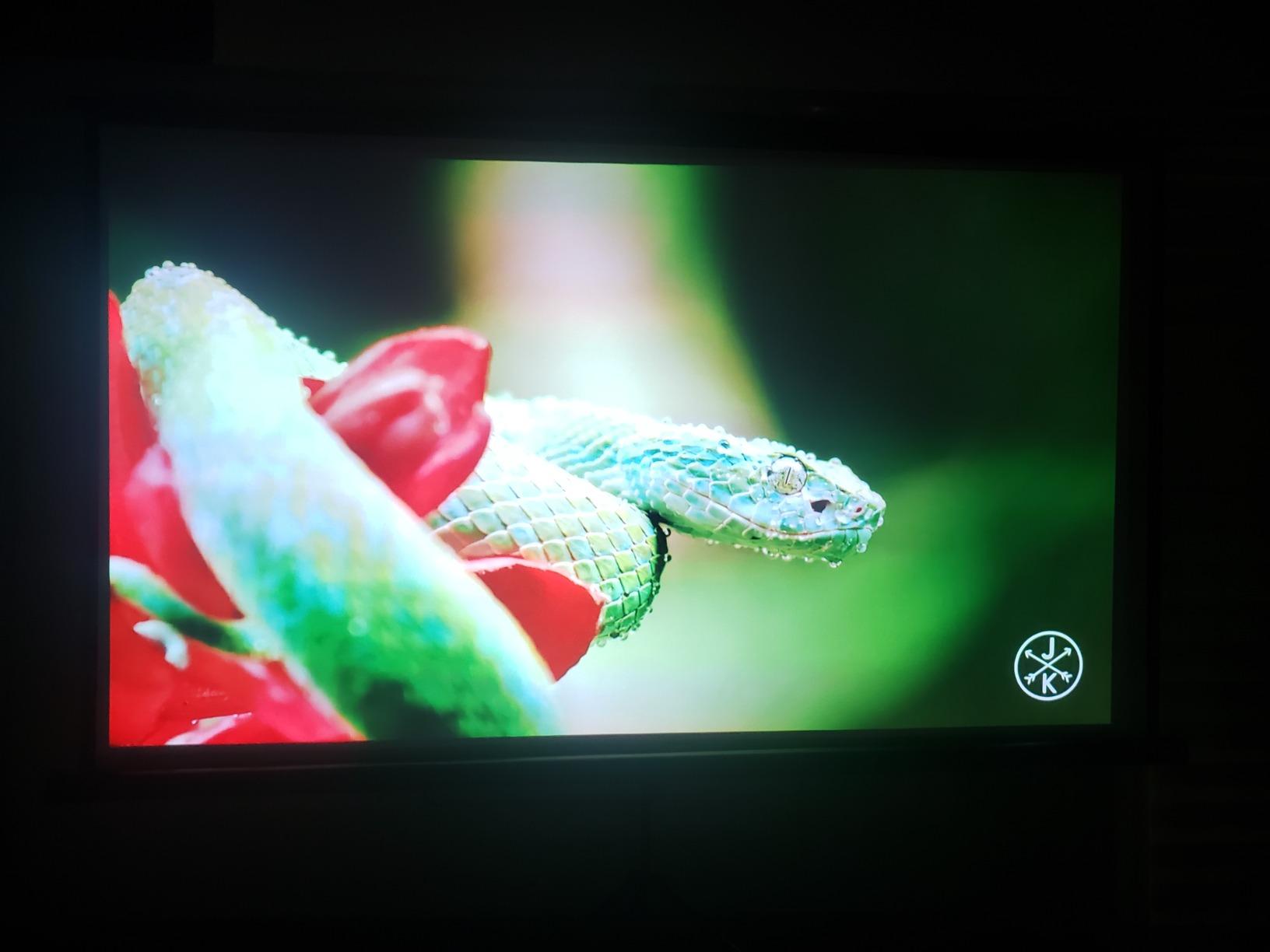 Optoma HD39HDR High Brightness HDR Home Theater Projector | 120Hz Refresh Rate | 4000 lumens | Fast 8.4ms Response time with 120Hz | Easy Setup with 1.3X Zoom | 4K Input | Quiet Operation 26dB customer photo 2