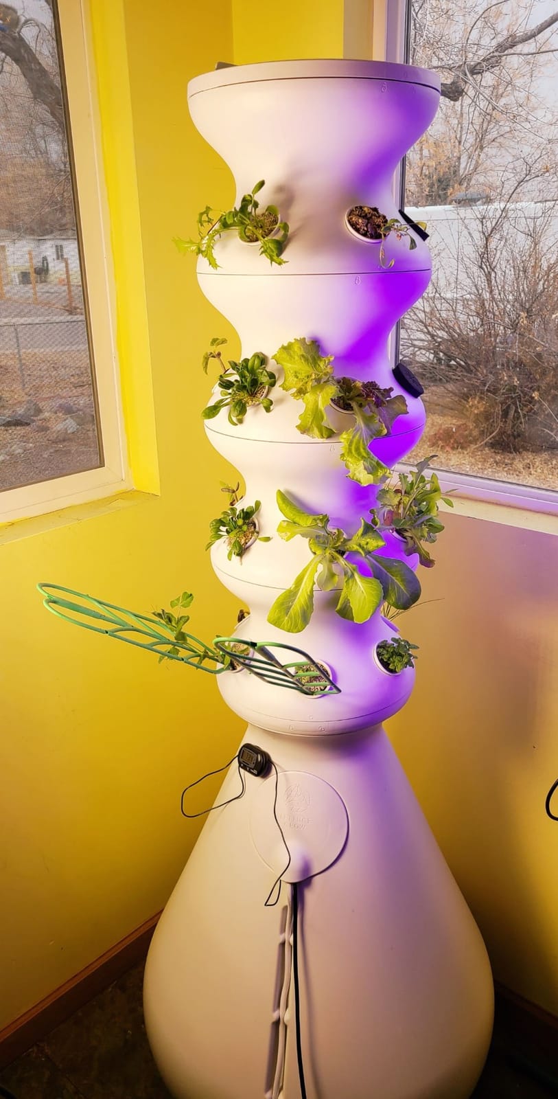 Lettuce Grow Farmstand Hydroponic Growing System, 24-Plant Indoor/Outdoor Vertical Garden, BPA-Free Food Grade, Made in USA customer photo 2