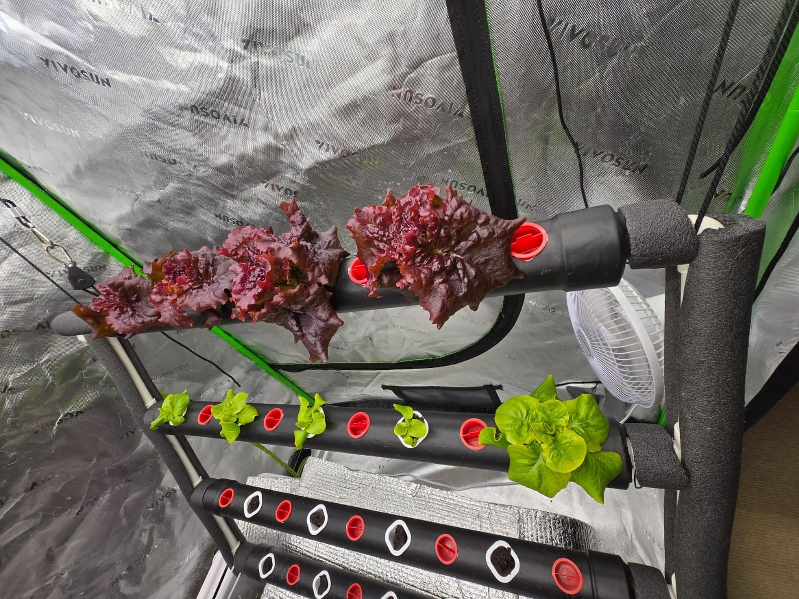 VIVOSUN Hydroponic Grow Kit, 1 Layer 36 Plant Sites 4 Food-Grade PVC-U Pipes Hydroponics Planting System with Water Pump, Pump Timer, Nest Basket and Sponge for Leafy Vegetables customer photo 2