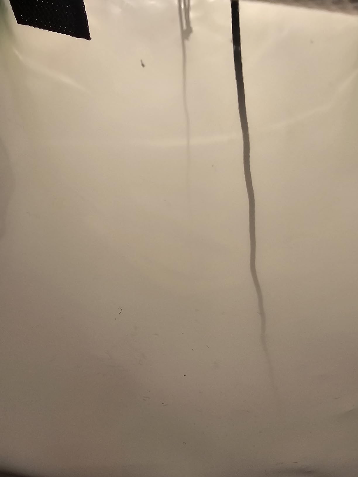 VIVOSUN 2.7x2.7ft Grow Tent Kit 150W LED A22 WiFi Control Grow System customer photo 2