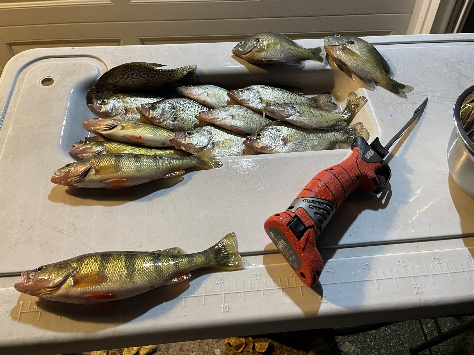 Bubba Pro Series Lithium-Ion Electric Fillet Knife with Non-Slip Grip Handle, 4 Ti-Nitride S.S. Coated Non-Stick Reciprocating Blades, Charger and Case for Fishing customer photo 2
