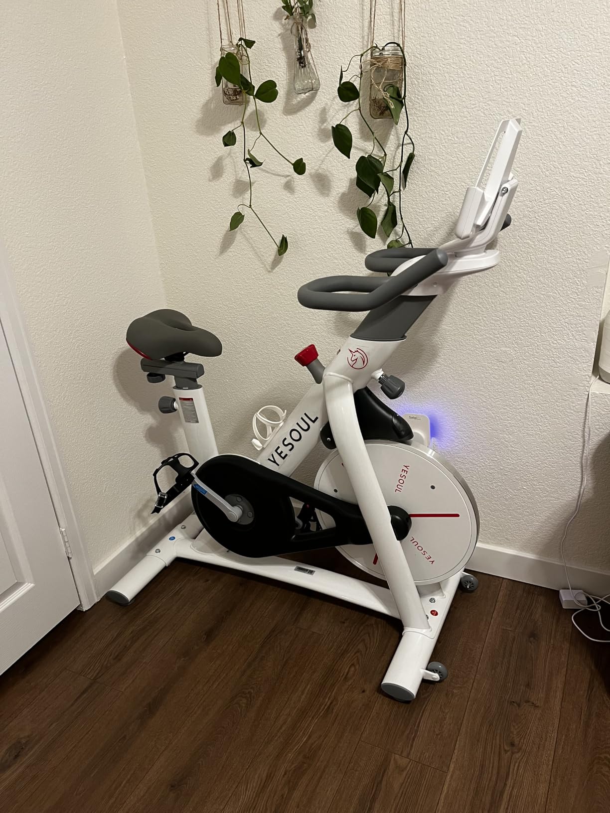 Yesoul S3 Exercise Bike, Indoor Stationary Bike with Magnetic Resistance customer photo 2