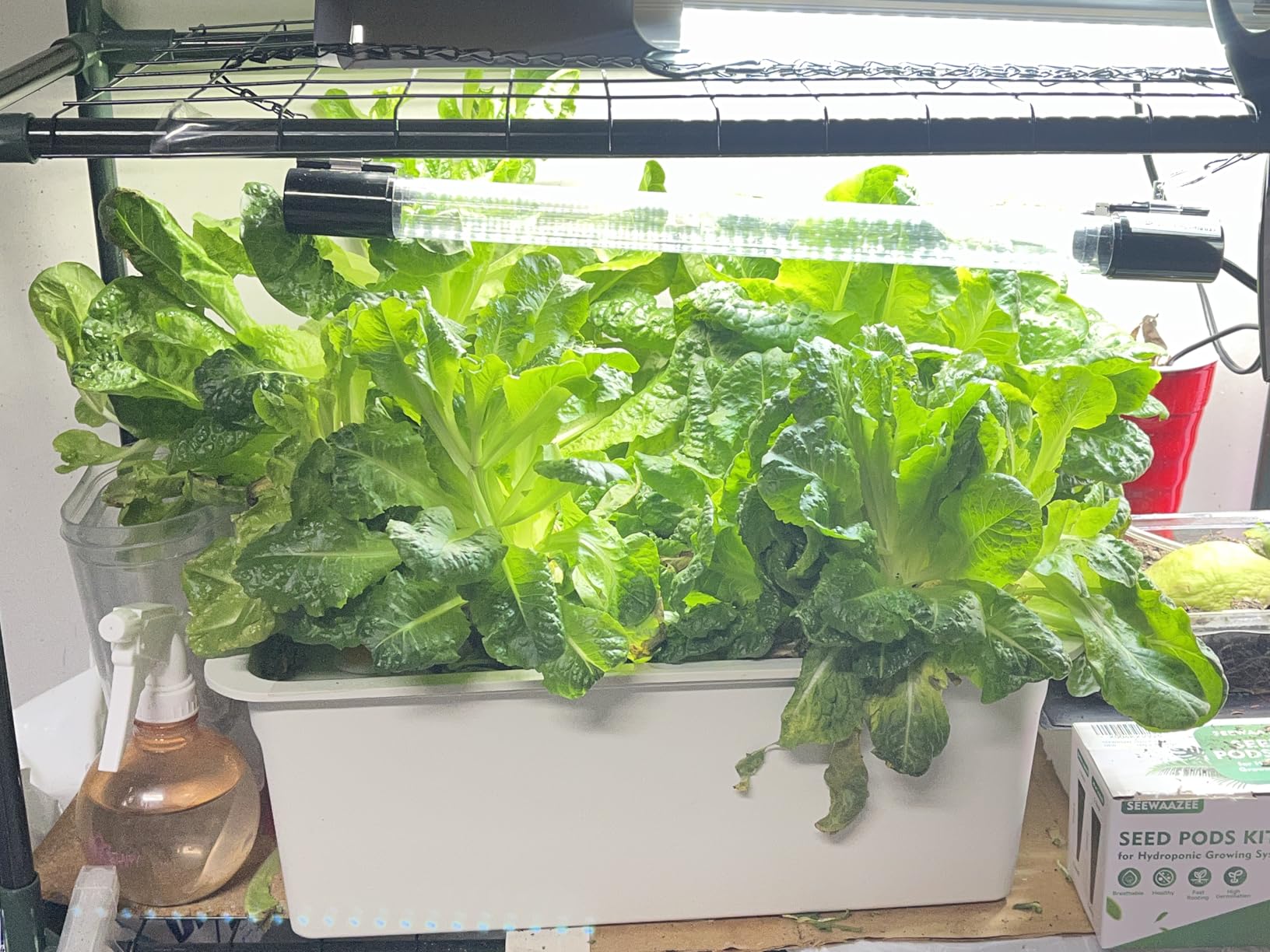 NATGAI Hydroponic System Growing Kit with Air Pump 12 Holes Soilless customer photo 1