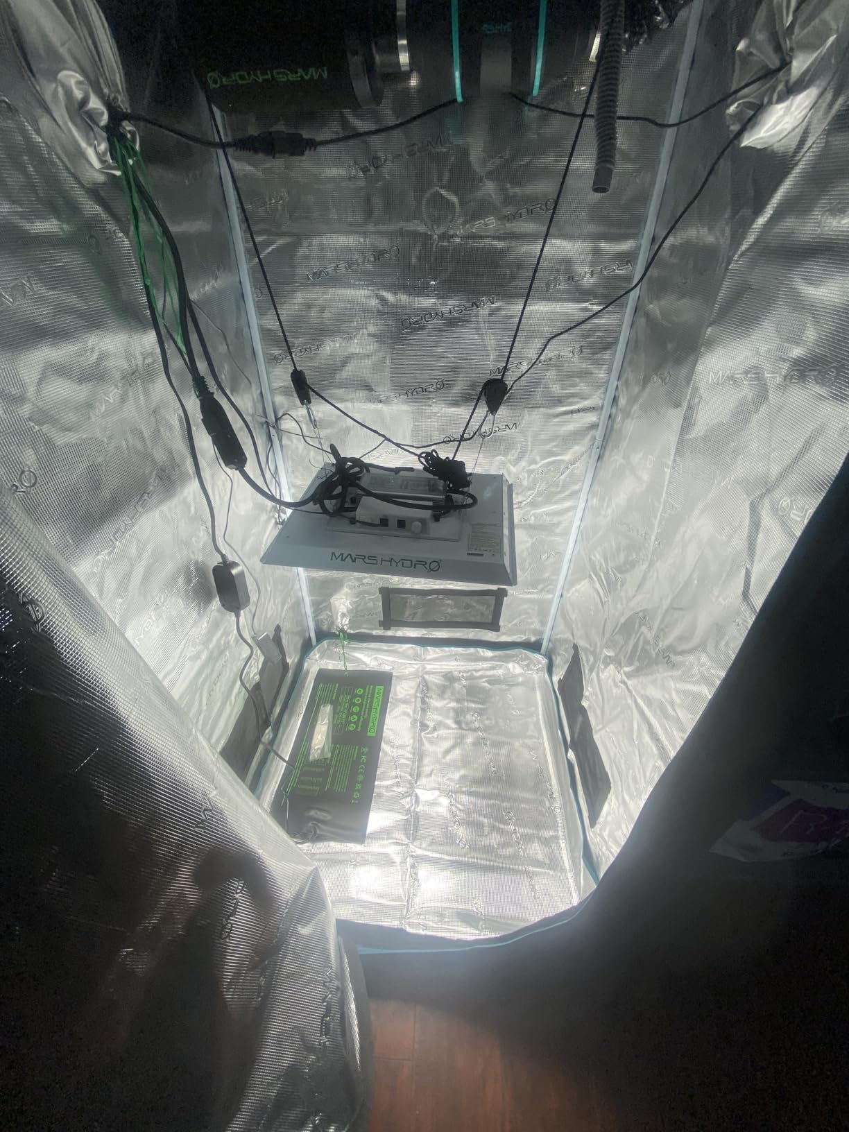 MARS HYDRO 10''x 20.75'' Seedling Heat Mat with Thermostat Combo Set,Heating Pad for for Germination, Indoor Gardening, Greenhouse customer photo 2