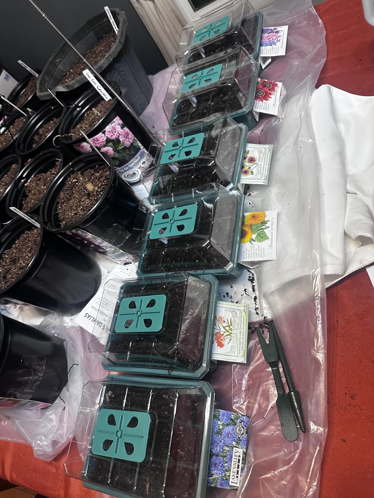 VIVOSUN 6-Pack Seed Starter Trays, 72-Cell Starter Kit with Humidity Dome customer photo 2
