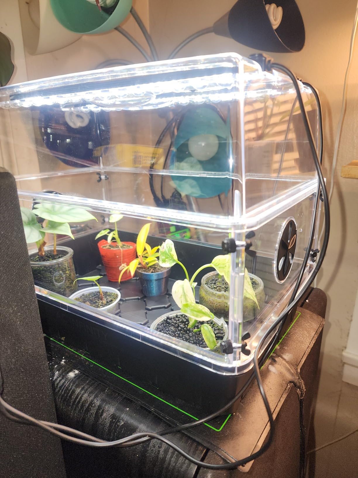 AC Infinity Humidity Dome 5x8, Heavy-Duty 3mm Seed Starter Propagation Kit customer photo 2