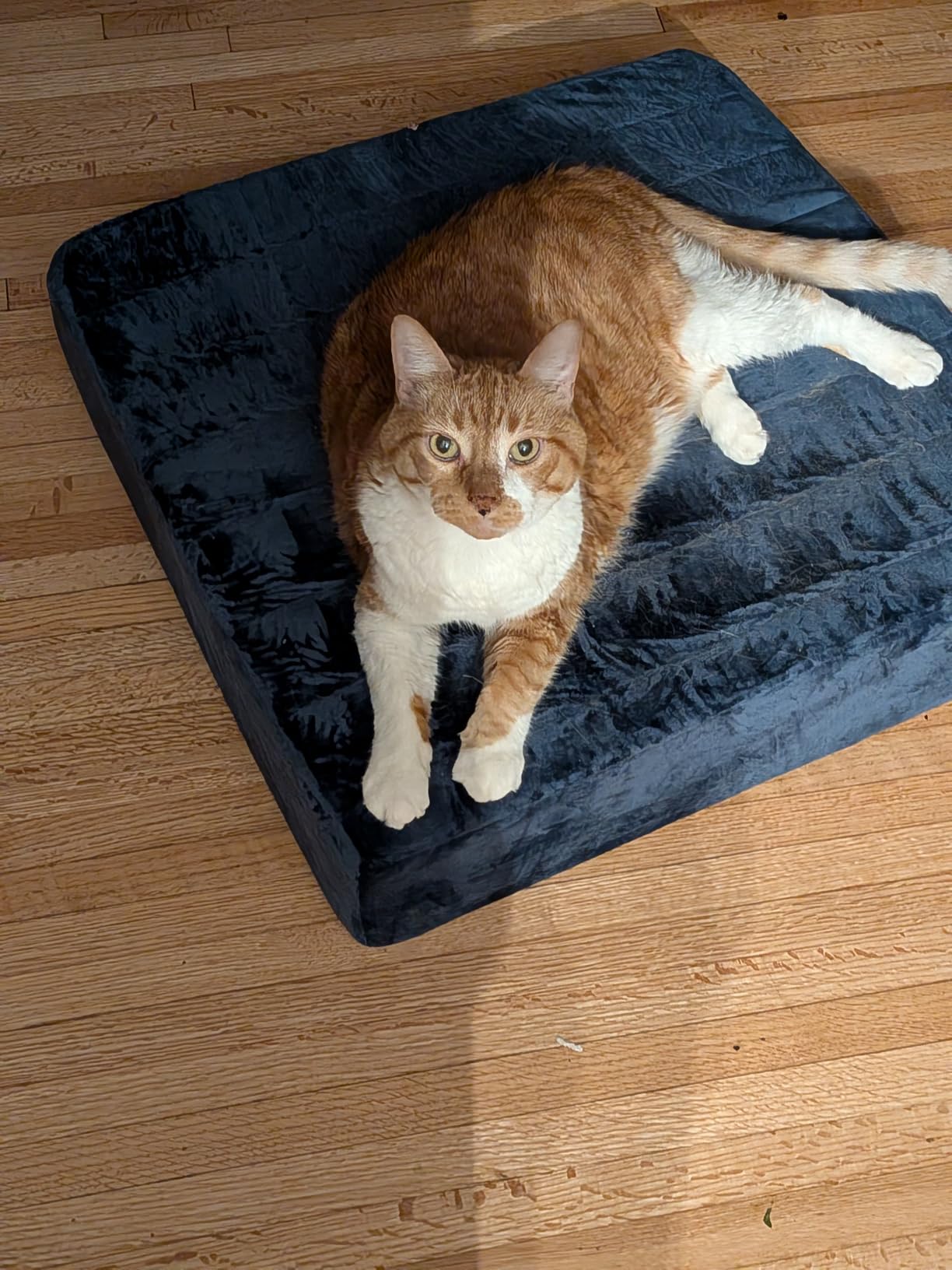 MeMoreCool 24 Inch Square Floor Pillow for Adults, Navy Foam Floor Cushion customer photo 1