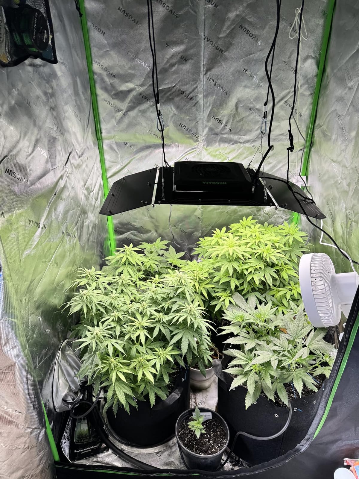 VIVOSUN Smart Grow Tent Kit 2x4, 2-Plant WiFi-Integrated Grow System customer photo 1