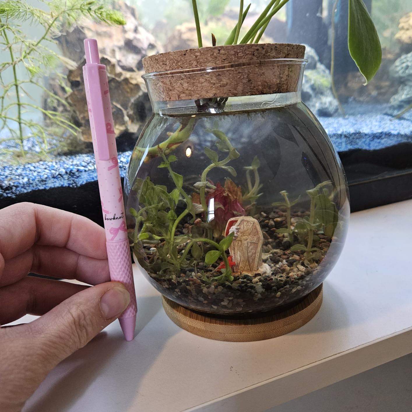Balacoo Desktop Hydroponic Fish Bowl - Clear Glass Small Fish Tank customer photo 2