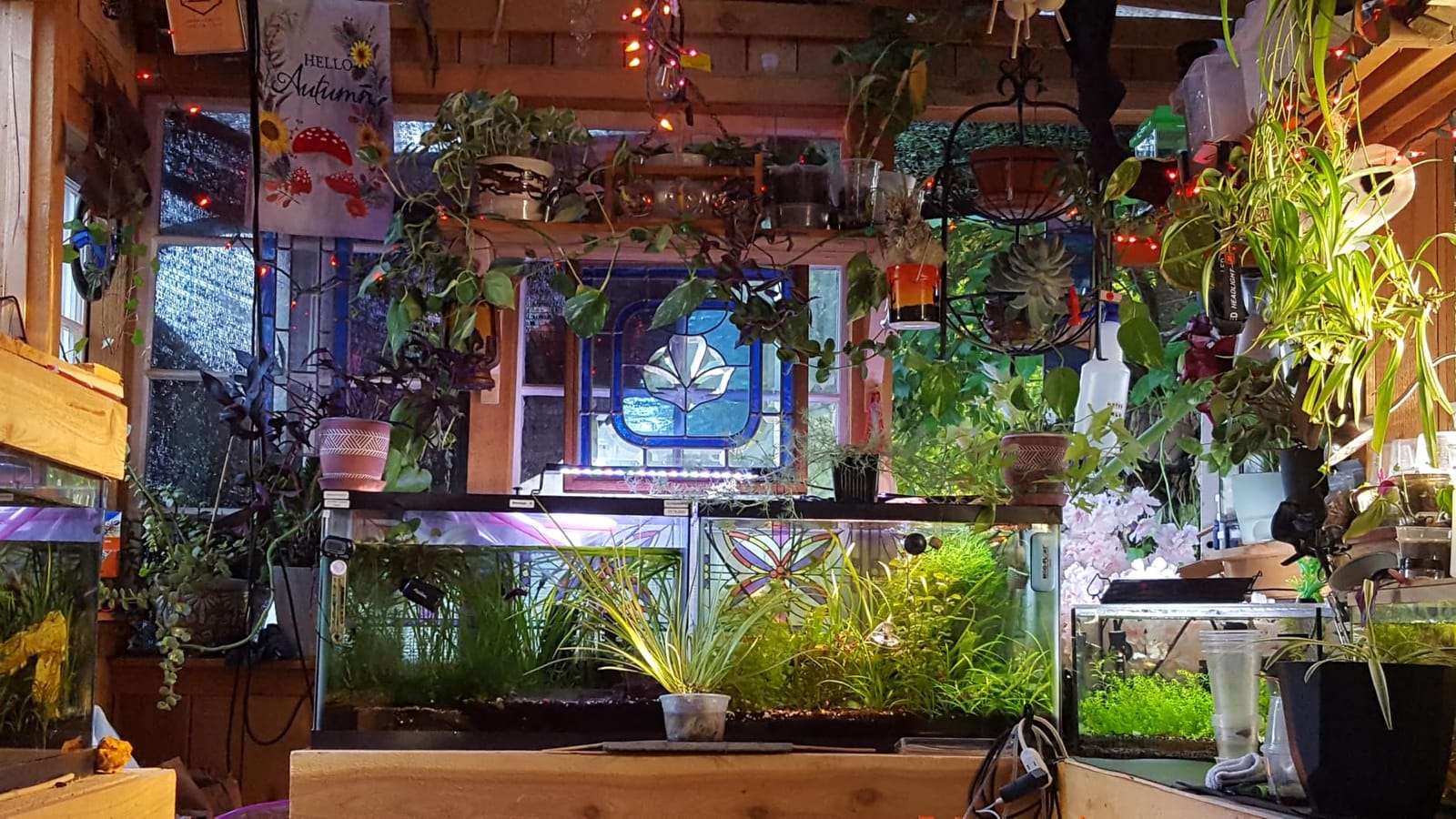 AQQA Aquarium Air Pump 15W 356GPH 4 Outlets customer photo 1
