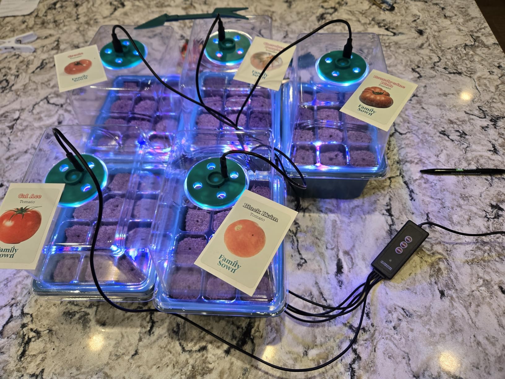 BlumWay Self-Watering Seed Starter Tray with Grow Light, 5 Pack 60 Cells customer photo 2