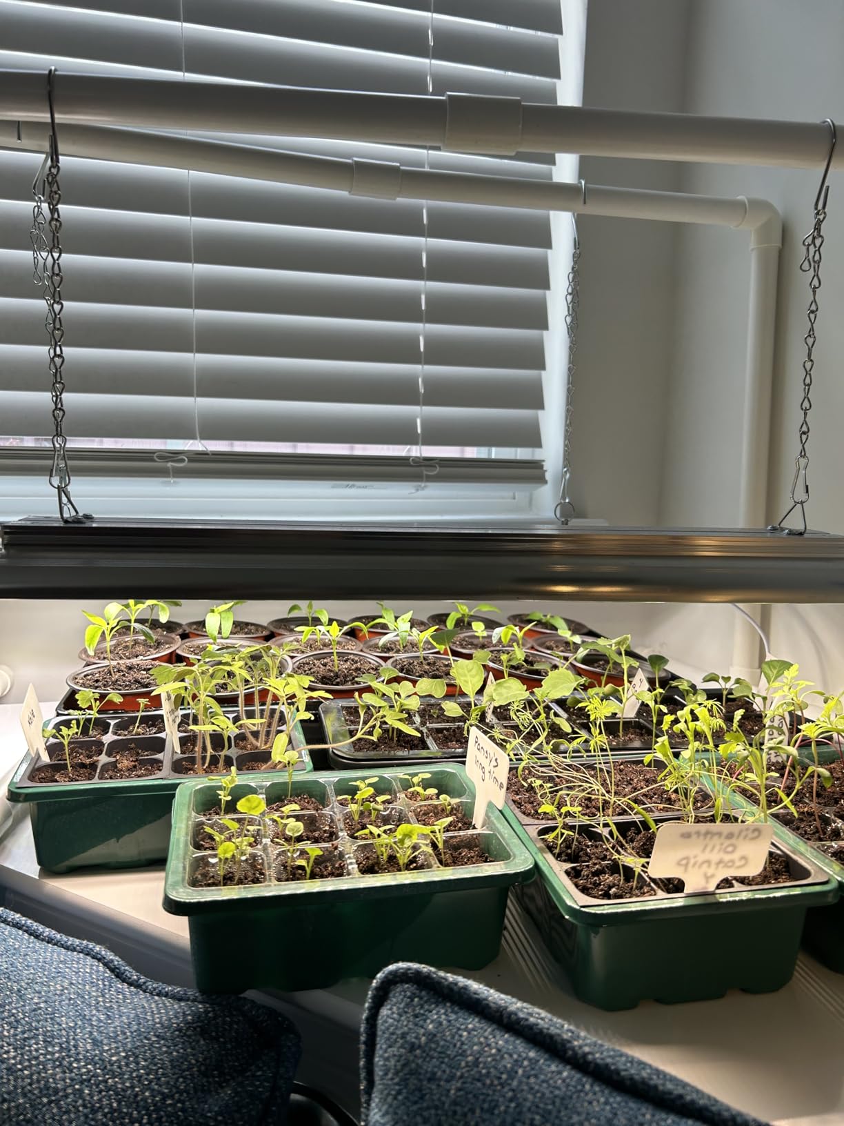 Wolezek 2FT T5 Grow Lights for Seed Starting, 32W Full Spectrum customer photo 1