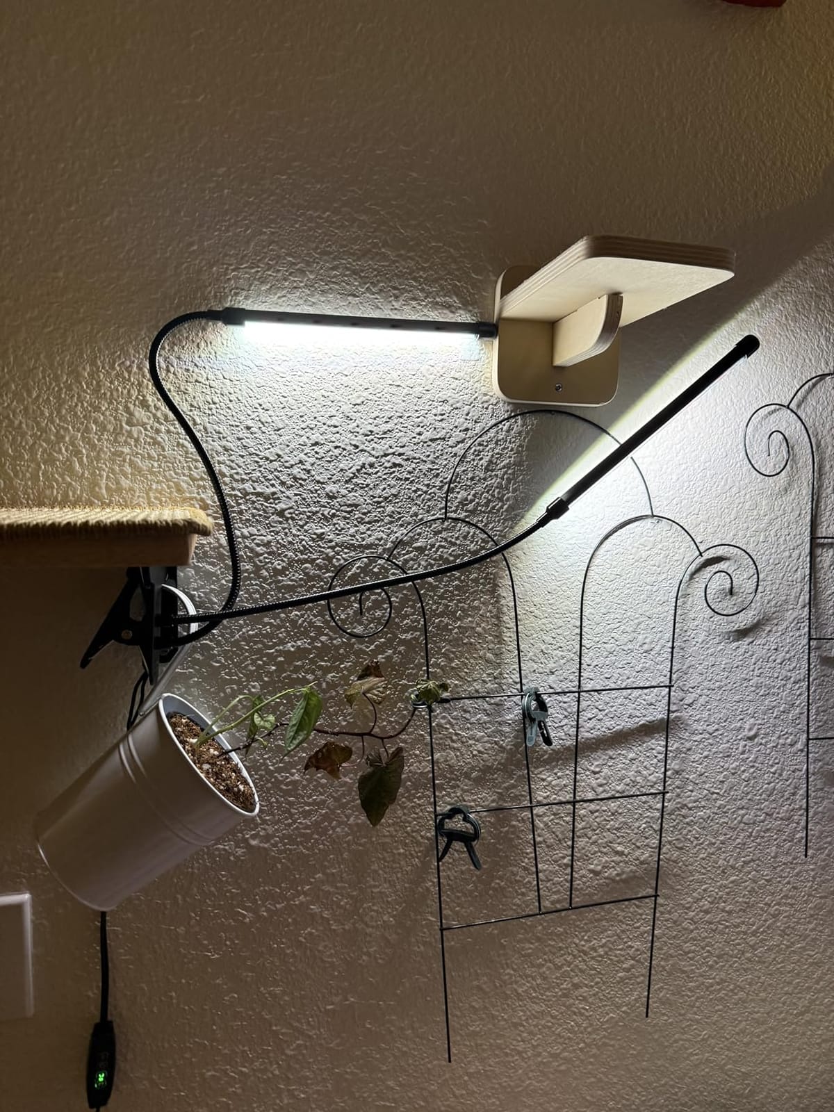 Grow Lights for Indoor Plants, Upgrade 84 LEDs Clip Plant Lights, Full Spectrum LED Plant Growing Lamps with Flexible Gooseneck, 3/9/12H Timer, 3 Spectral Modes, 10 Dimmable Levels (2 Head 1 Pack) customer photo 1