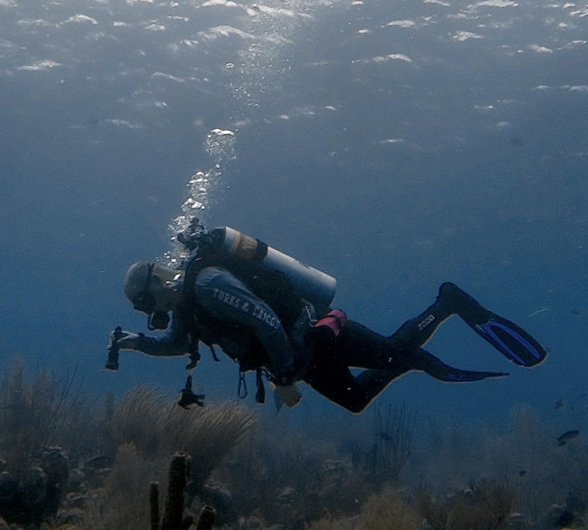 ORCATORCH ZD710 MK2 Zoomable Scuba Dive Light, Spot & Flood Beam customer photo 2