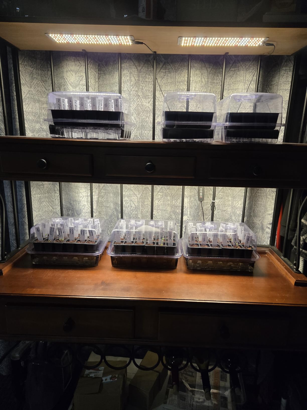 SOLIGT Self Watering Seed Starter Trays with Humidity Domes 6 Pack 144 Cell customer photo 1