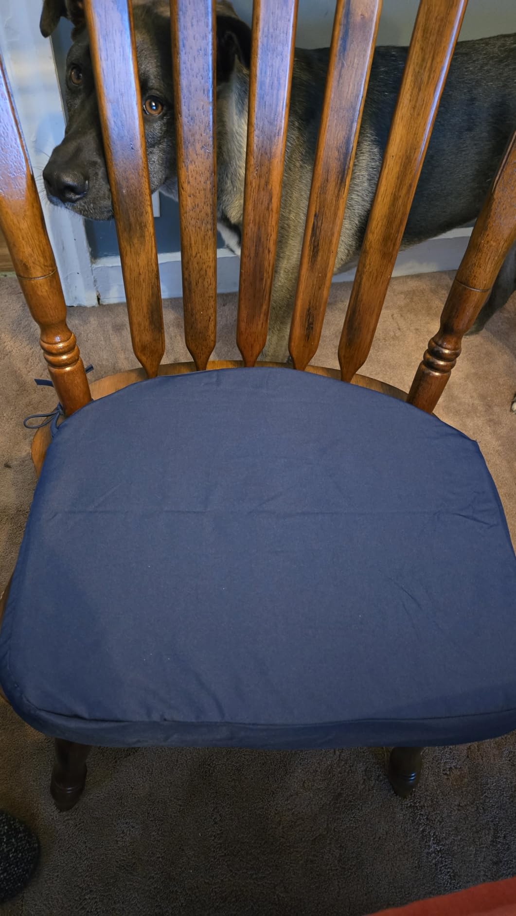 Summsun Outdoor Chair Cushions D-Shape, 17 x 16 Inch, Navy, Set of 4 customer photo 2