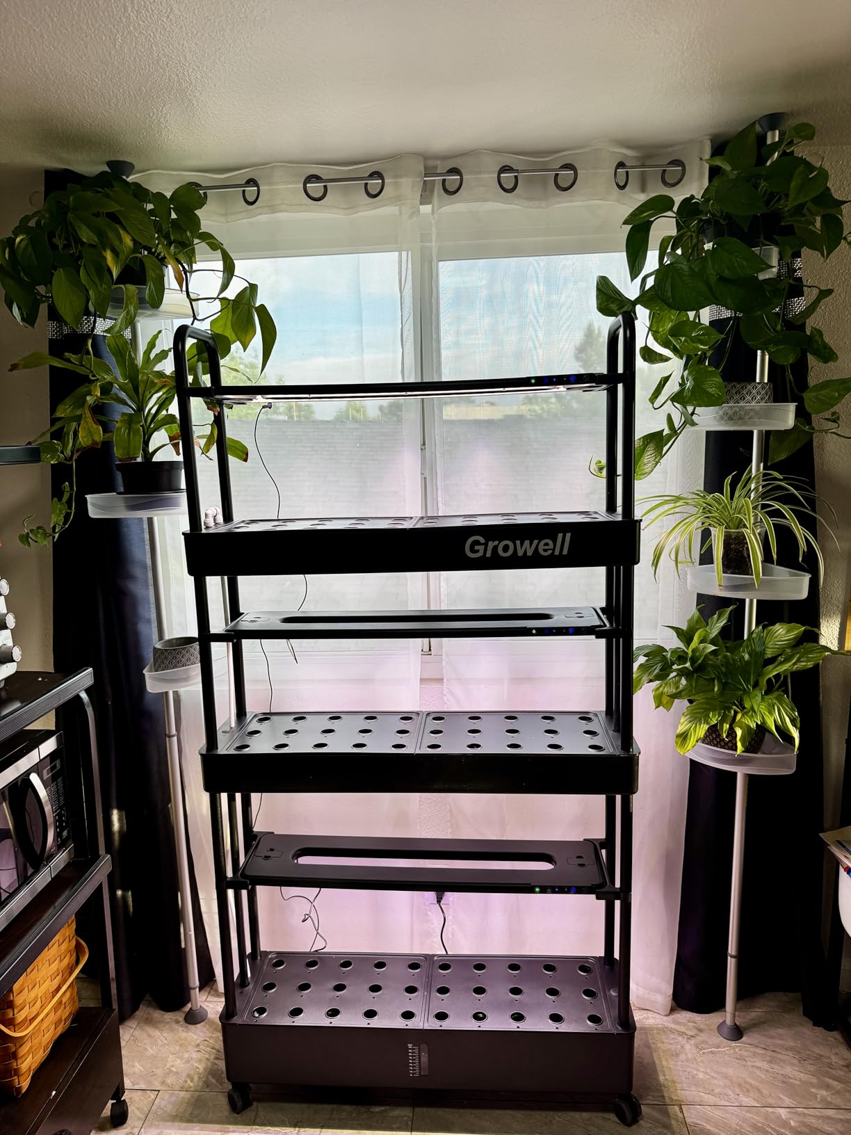Growell Large Hydroponics Growing System Kit, 60 Pods Vertical Hydroponic Garden with 2 Light Modes Grow Light, Auto Circulating Water System, 32L Indoor Gardening System for Herb Vegetable Fruit customer photo 1