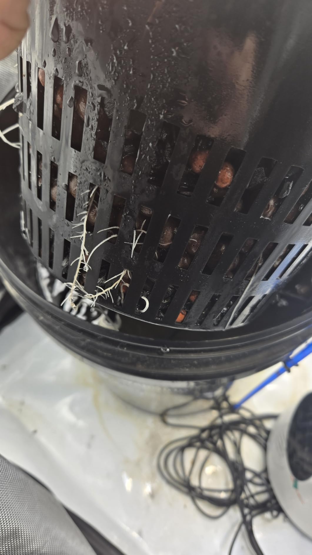 MARS HYDRO DWC 4‑Bucket Hydroponic System with Pump & Drip customer photo 2