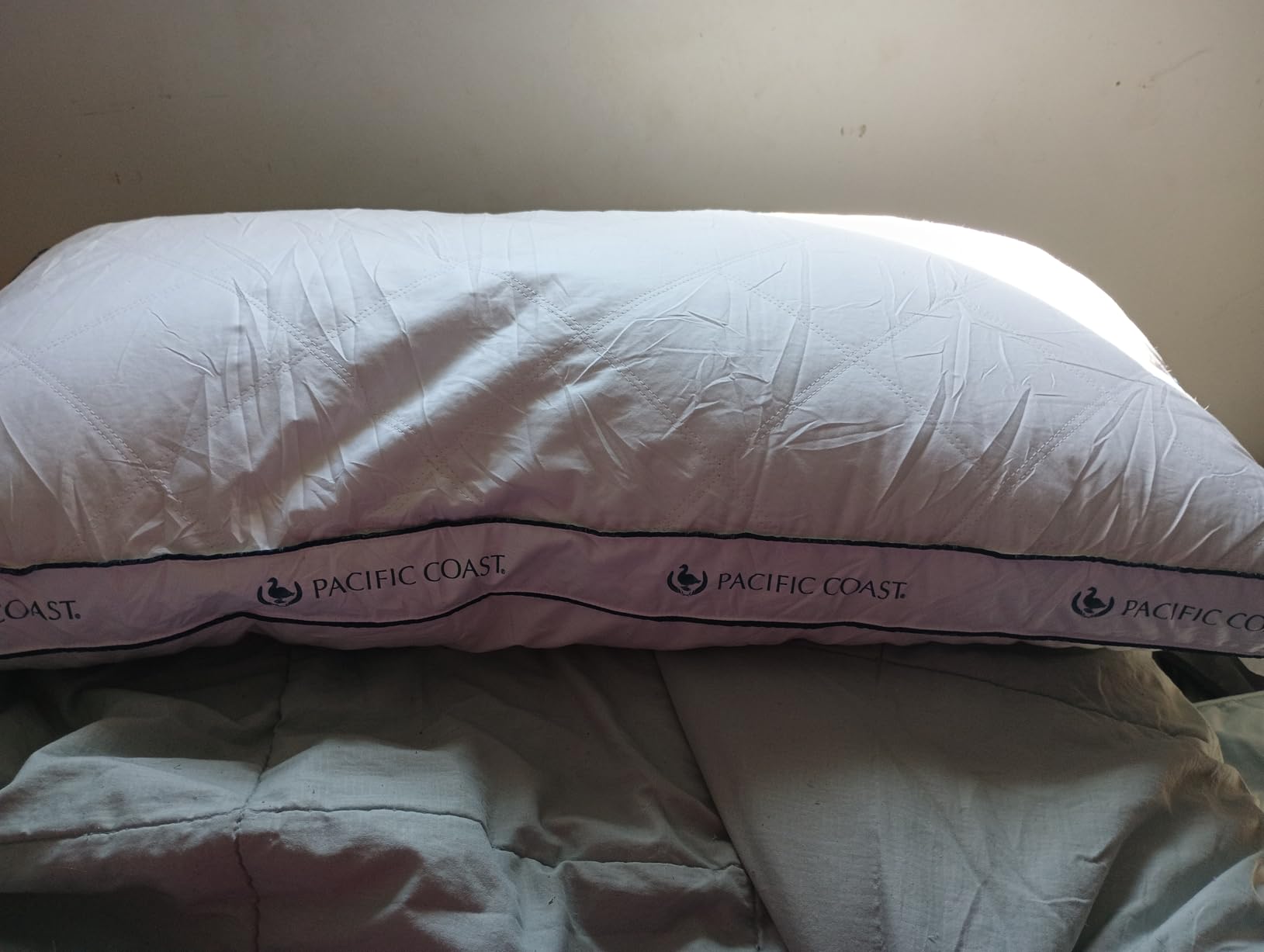 Pacific Coast Goose Feather and Down Firm Pillows Queen Size Set of 2, Bed Pillows for Side and Back Sleepers, Supportive Gusseted Hotel Collection Pillow with 100% Cotton Shell customer photo 1