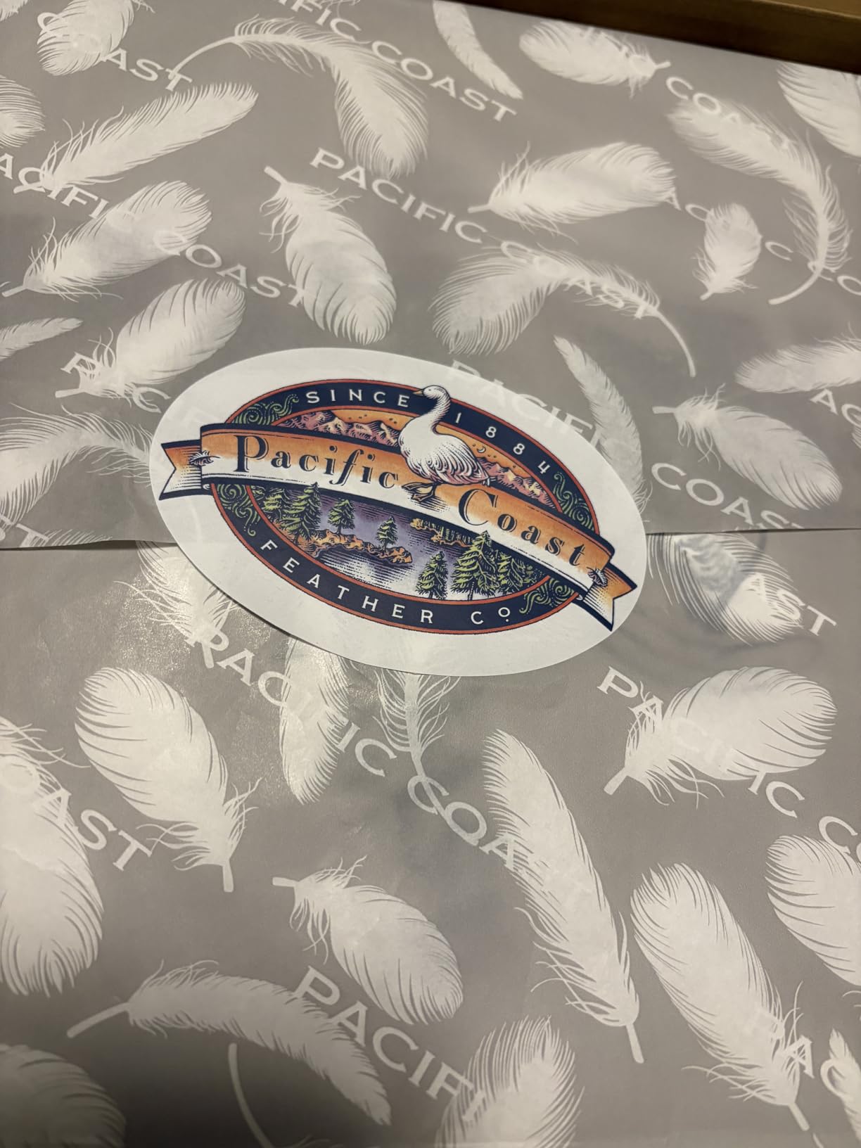 Pacific Coast Goose Feather and Down Firm Pillows Queen Size Set of 2, Bed Pillows for Side and Back Sleepers, Supportive Gusseted Hotel Collection Pillow with 100% Cotton Shell customer photo 2