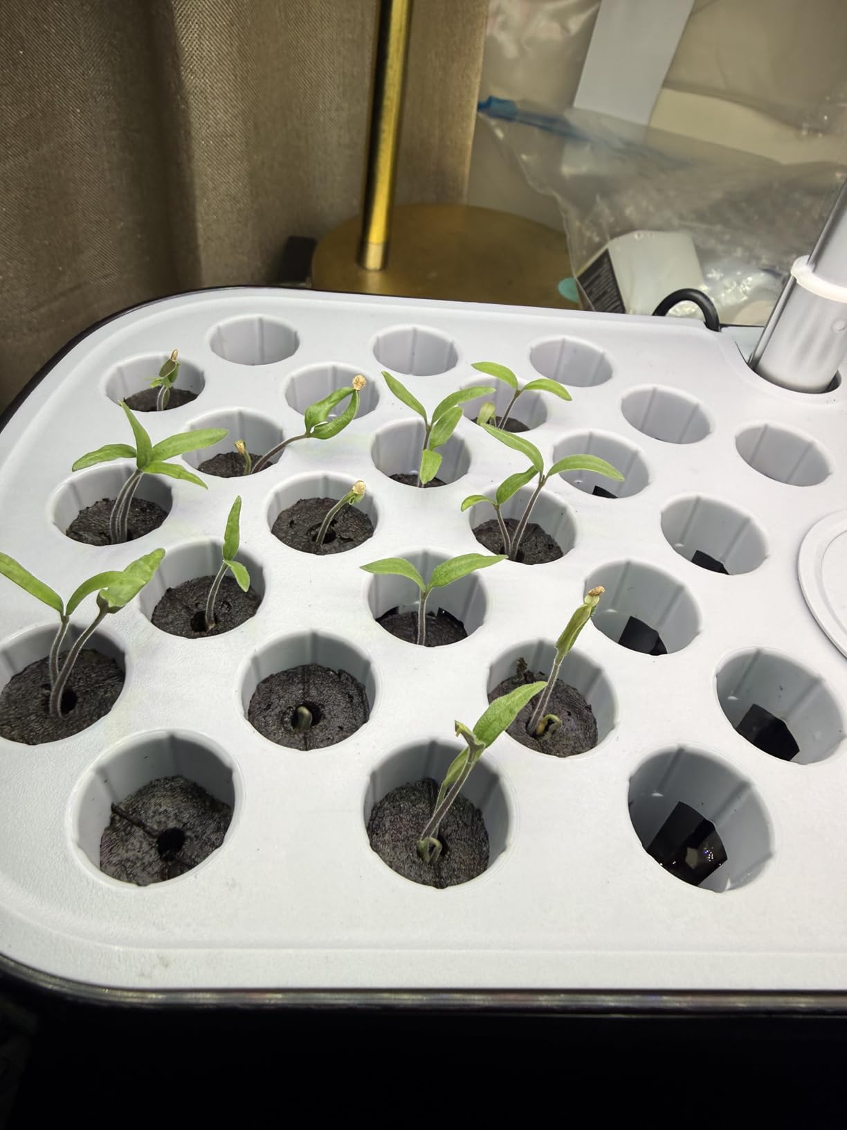 52 Pods Smart Hydroponics Growing System Indoor Herb Garden with Auto Timer customer photo 2