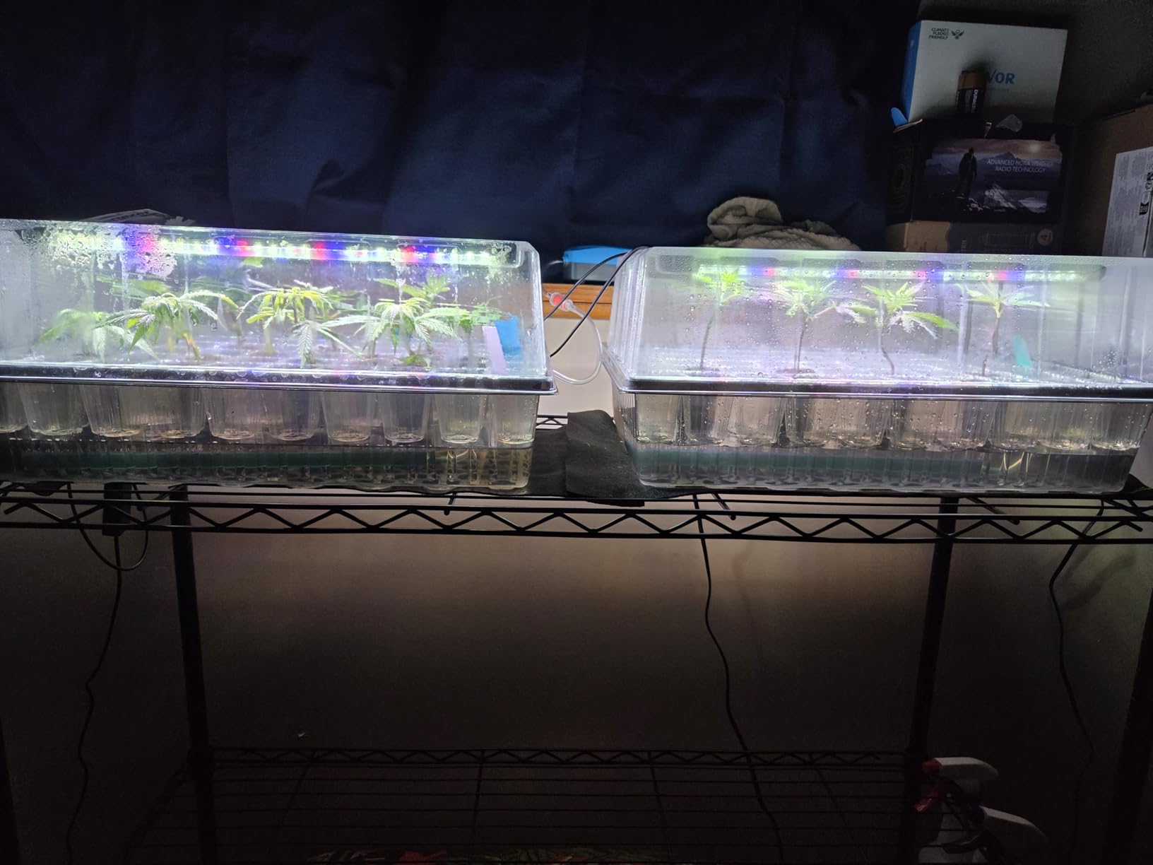120-Cell Self-Watering Seed Starter Tray with Grow Light, 1–24H Timer, Humidity Dome, Soil pH Meter, Gloves, Seedling Tools – Indoor Seed Starting Kit for Plant Germination, Herbs, Vegetables, Flowers customer photo 1