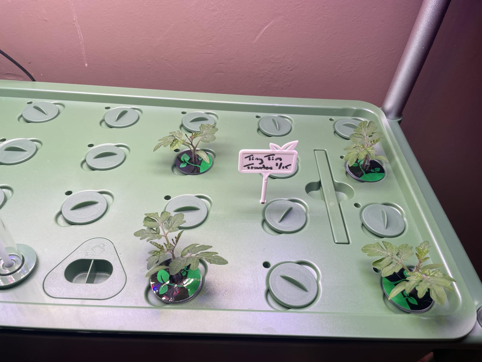 Growell Hydroponics Growing System Kit, 54 Pods Vertical Indoor Herb Garden with Smart LED Grow Light, Auto Circulating Water Pump Each Tier, 28L Hydroponic Gardening Systems for Ideal Gifts (Green) customer photo 1